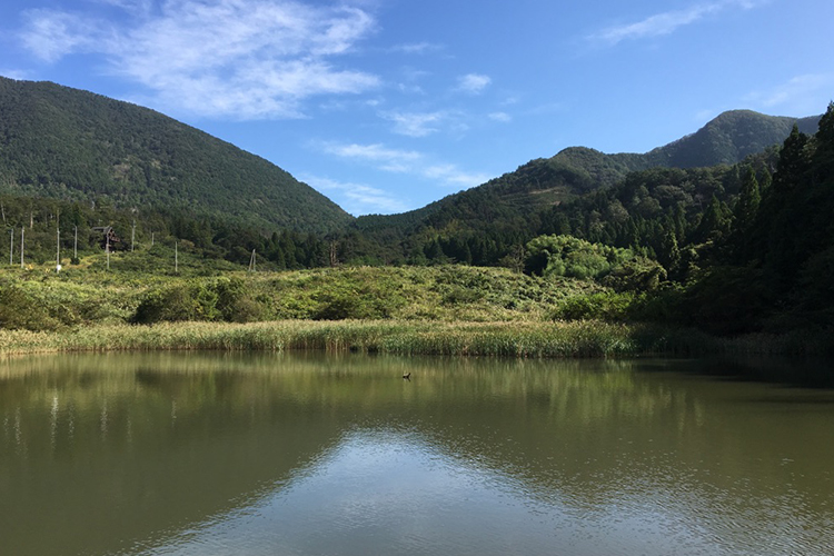 BLD発電所 鳥取大山Power Station